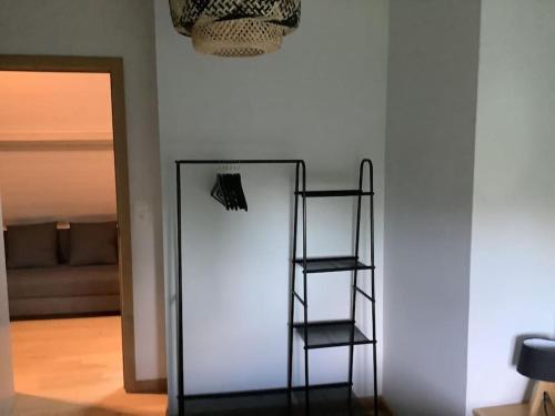 a ladder next to a mirror in a room at La Maisonnette in Porcheresse
