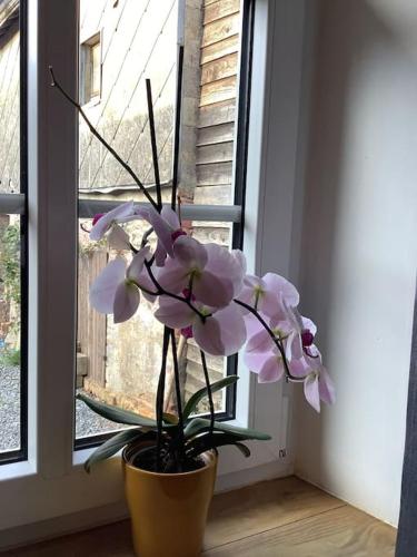 a vase with pink flowers in a window at La Maisonnette in Porcheresse