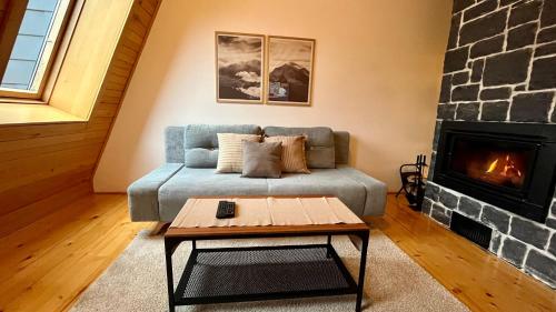 a living room with a couch and a fireplace at Apartment 533 in Aparthotel Vucko Jahorina - Private host in Jahorina