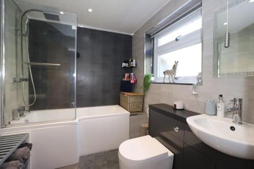 ein Bad mit einem WC, einem Waschbecken und einer Dusche in der Unterkunft Luxury House Near City Center Hospital &Superstore in Carlisle