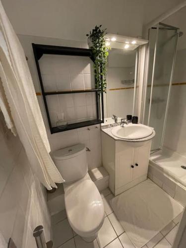 une salle de bain blanche avec des toilettes et un lavabo dans l'établissement Studio la maison dorée à luchon, à Luchon