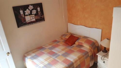 Anturio Express – Photos 2