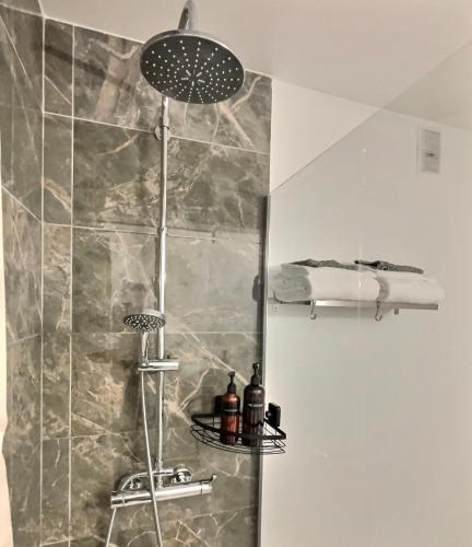 een badkamer met een douche met een douchekop bij Studio confort Vanves Paris Porte de Versailles in Vanves