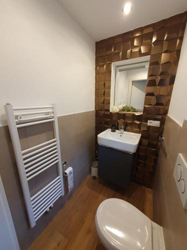 uma casa de banho com um WC, um lavatório e um espelho. em Luxusferienhaus am Naherholungsgebiet mit SAUNA em Jägersburg