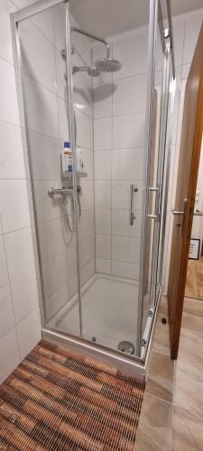 um chuveiro com uma porta de vidro na casa de banho em Waterfalls Apartment 2 em Triberg
