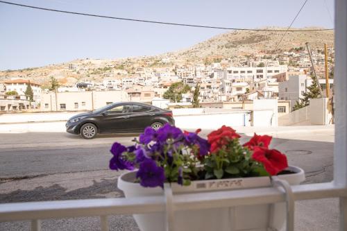 a view of a city from a balcony with flowers at רוזמרין בחרמון in Majdal Shams