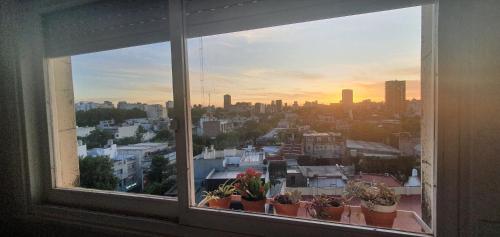 a window with a view of a city with potted plants at Palermo Panoramic in Buenos Aires