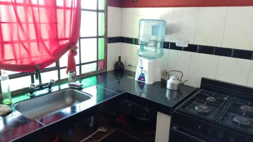 uma cozinha com um lavatório e um fogão em La Casa De La Gruta em Mina Clavero