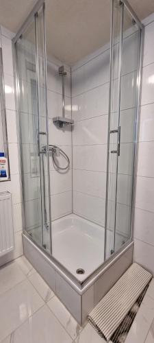 eine Dusche mit Glaskabine im Bad in der Unterkunft Waterfalls Apartment 3 in Triberg
