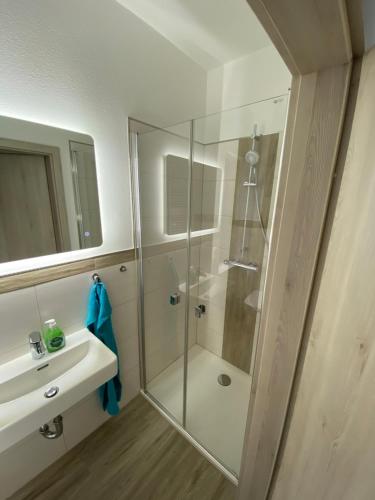 a bathroom with a glass shower and a sink at Pension Kirschgarten in Nebra