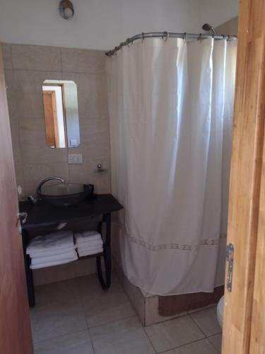 baño con lavabo y cortina de ducha en Cabañas Shehuen Aike Lugar encantador con sol y tranquilidad en Dina Huapi