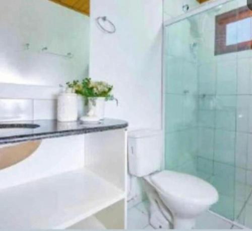 uma casa de banho com um WC e uma cabina de duche em vidro. em Chale´Ville Charme 501 em Luís Correia