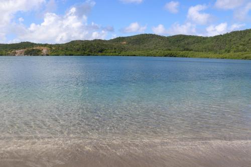a large body of water with mountains in the background at Le Colibri et le Frangipanier in La Trinité