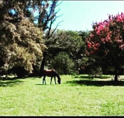 La Mariposa – Photos 3
