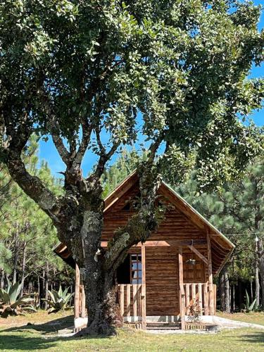 uma cabana com uma árvore em frente em Los Ilites posada Campestre familiar 