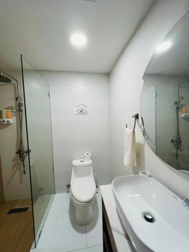 a bathroom with a toilet and a sink and a mirror at Lovely Beachfront 2 bedrooms condo with 2 pools in Las Terrenas
