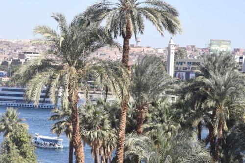 eine Gruppe von Palmen neben dem Wasser in der Unterkunft Nubian Queen Guest House in Assuan