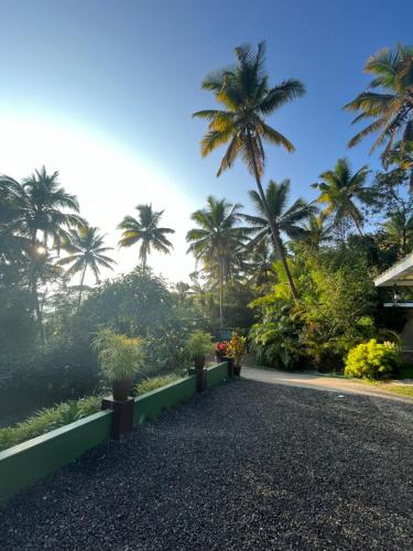 a driveway with palm trees in the background at Fab Valley Homestay in Munnar