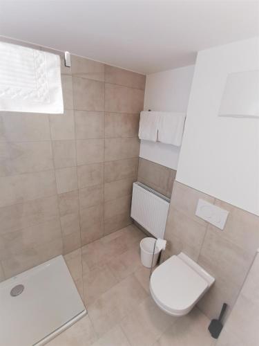 a bathroom with a white toilet and a shower at Apartments HAUS SCHÖN - Preise inclusive Pitztal Sommer Card in Jerzens