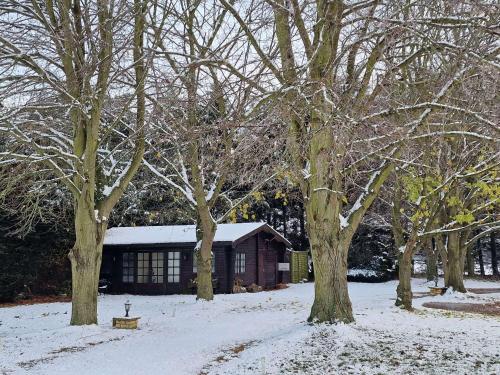 uma casa na neve com árvores na frente em Lily Pad by Paymán Club em Royston
