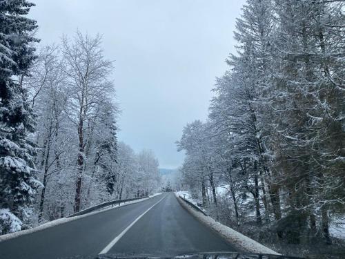 a snow covered road with trees on the side at Apartament Zielone Wzgórze 2 in Jelenia Góra
