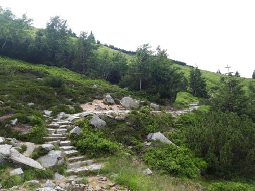 a rocky path on a hill with trees at Apartament Zielone Wzgórze 2 in Jelenia Góra