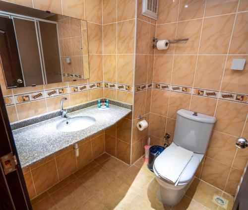 a bathroom with a toilet and a sink and a mirror at Adrasan Klados Hotel in Adrasan