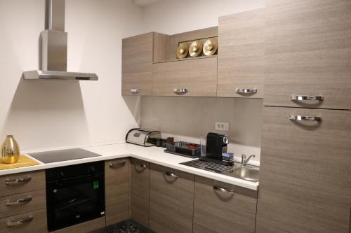 a kitchen with wooden cabinets and a sink at Lux Apartmani Novi Park in Vrdnik