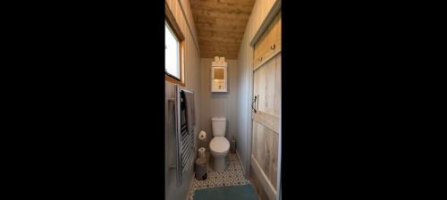 a bathroom with a toilet and a television in it at Shepherds Hut at Cedar Gables in Lamberhurst