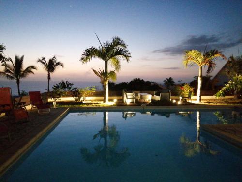 a large swimming pool with palm trees and the ocean at VILLA POINTE DES CHATEAUX VUE IMPRENABLE in Saint-Leu