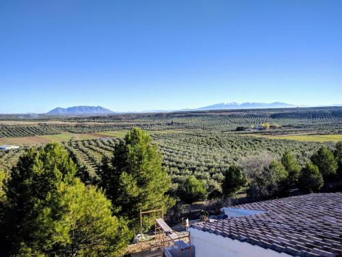 - une vue sur un vignoble depuis le toit d'une maison dans l'établissement Casas Cuevas El Mirador con piscina y barbacoa, à Fontanar