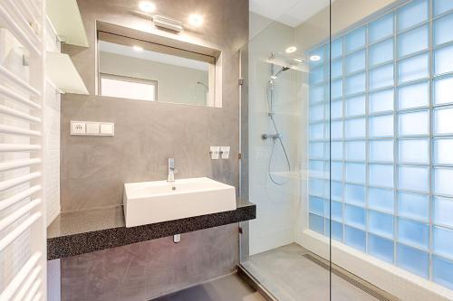 ロウチュナー・ポト・クリーノヴツェムにあるMiky Apartmán Klínovec Gardenのバスルーム(洗面台、ガラス張りのシャワー付)
