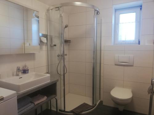 a bathroom with a shower and a toilet and a sink at Landhaus Dampf in Bad Blumau