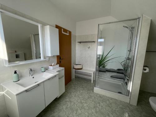 uma casa de banho com um chuveiro, um lavatório e um WC. em Ferienhaus Seenliebe em Senftenberg