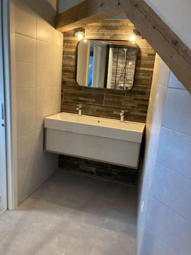 une salle de bain avec un lavabo et un miroir dans l'établissement Les Toits d'Austerlitz, à Strasbourg