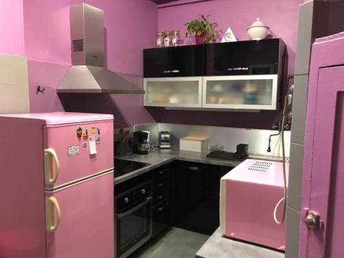 eine rosa Küche mit schwarzen Schränken und einem rosa Kühlschrank in der Unterkunft Charmant et calme face gare centrale in Nizza