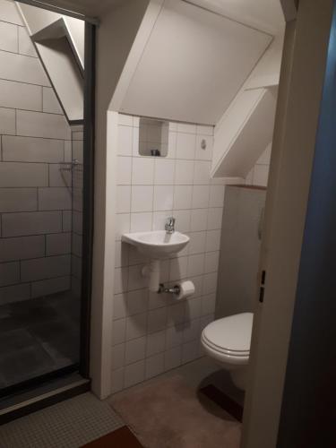 ein Bad mit einem WC und einem Waschbecken in der Unterkunft Benboverijssel in Haaksbergen