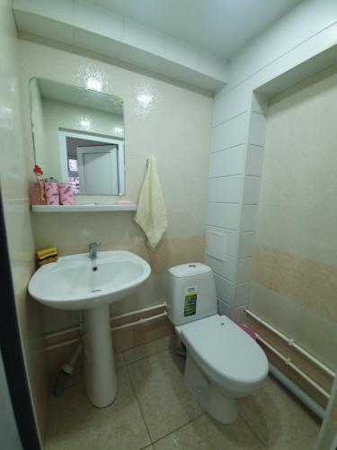ステパナヴァンにあるSunhome Stepanavan Guest Houseの洗面台、トイレ、鏡のあるバスルーム