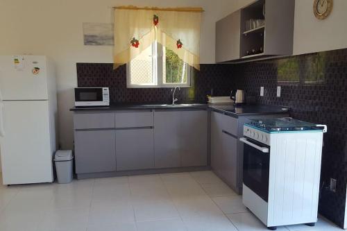 a kitchen with a sink and a stove top oven at Casa Aichi in Willemstad