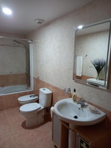ein Badezimmer mit einem WC, einem Waschbecken und einem Spiegel in der Unterkunft Casa Arrudas in Ponta Delgada