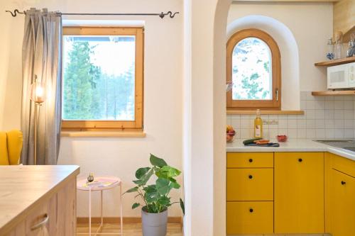 Das Habitatにあるキッチンまたは簡易キッチン
