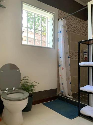 a bathroom with a toilet and a window and a shower at Villa paisible proche des rizières in Antananarivo