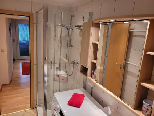 een badkamer met een douche en een wastafel bij Ferienwohnung Mohnblume in Rosdorf