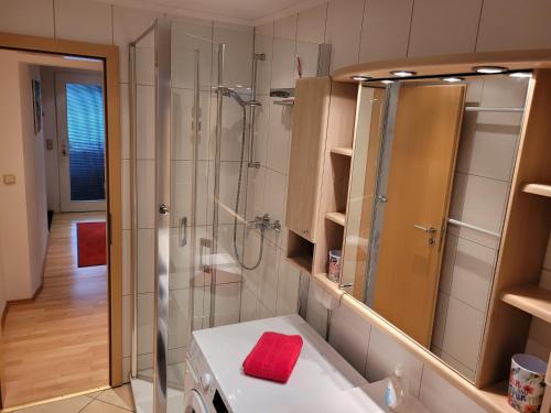 a bathroom with a shower and a sink at Ferienwohnung Mohnblume in Rosdorf