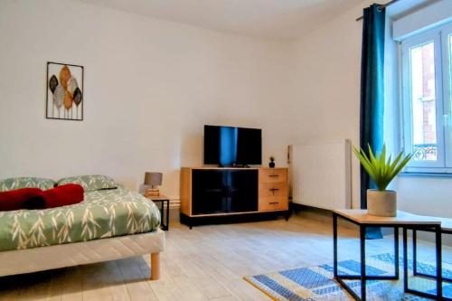 um quarto com uma cama e uma televisão numa cómoda em L'Urbain B - Tout équipé - Centre-Ville Gare em Montluçon