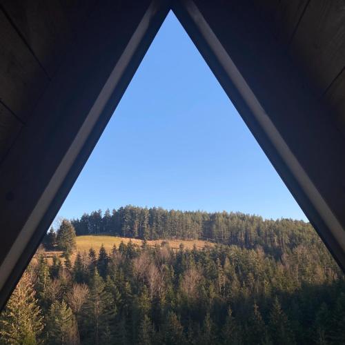 vista su una foresta dall'interno di una tenda di The Tara Concept a Šljivovica