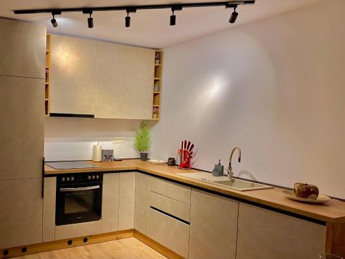 a kitchen with a sink and a stove top oven at Blancris Boutique in Braşov