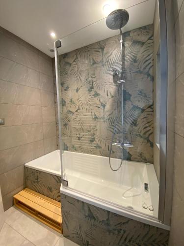 a shower in a bathroom with a shower at Hôtel La bonne hôtesse in Chambon-sur-Lac