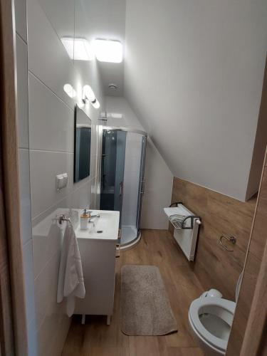 a bathroom with a sink and a toilet at Pokoje gościnne u Marty in Jurgów