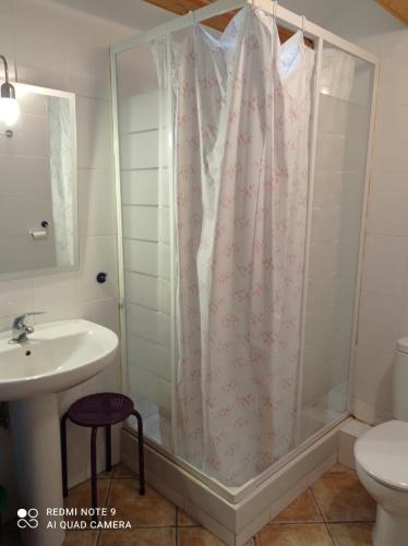 y baño con cortina de ducha y lavamanos. en Casa Borro, en Salvatierra de Esca